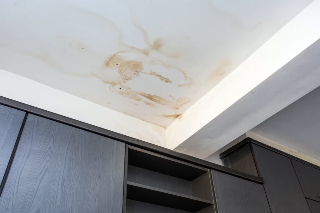 Ceiling water stains caused by a leak that requires roof repair.