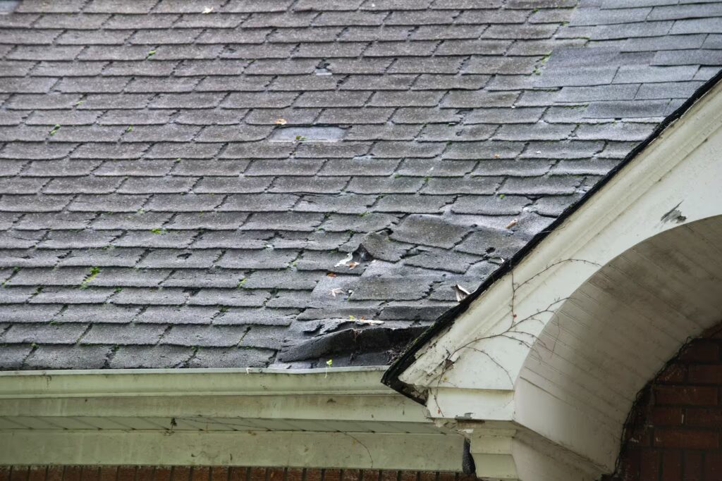 Damaged roof shingles near a gutter, showing clear signs of wear and the need for roof repair.
