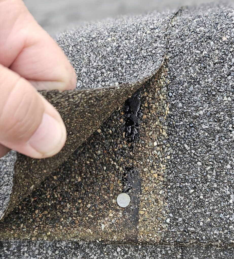 Damaged asphalt shingle lifted and exposing a roof leak entry point